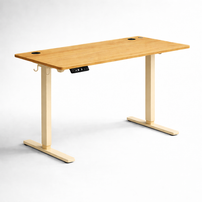 Electric Height Adjustable Standing Desk