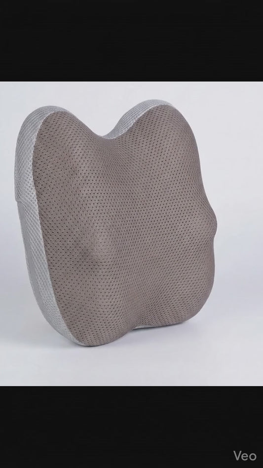 Cordless Shiatsu Back & Waist Massager Pillow